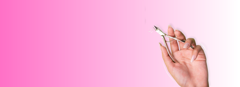 Celebrate Women’s Month